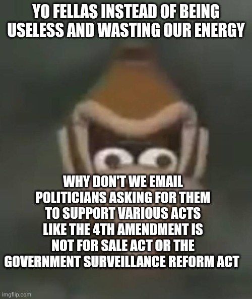 donkey kong shocked | yo fellas Instead of being useless and wasting our energy; why don't we email politicians asking for them to support various acts like the 4th amendment is not for sale act or the government surveillance reform act | image tagged in donkey kong shocked | made w/ Imgflip meme maker