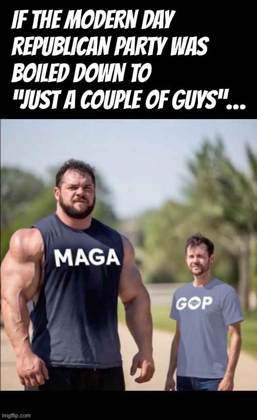 If we could only get all of the Rinos out of public office and behind the scenes | If the modern day 
Republican Party was 
boiled down to 
“just a couple of guys”… | image tagged in political meme,modern day,republican party,maga,strong,weak | made w/ Imgflip meme maker