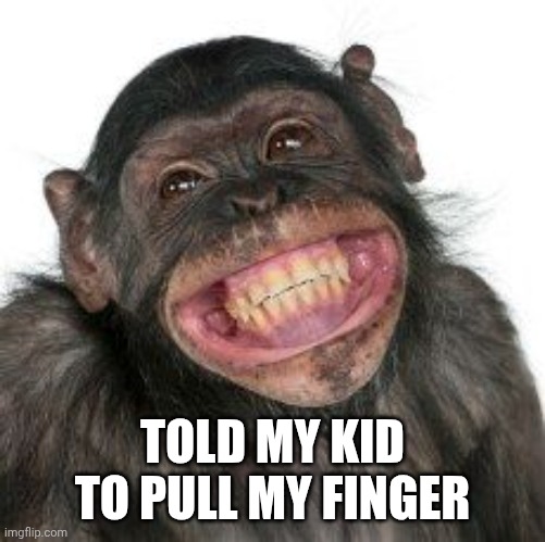Pull my finger | Told my kid to pull my finger | image tagged in grinning chimp,finger,pull my finger,funny memes,farts | made w/ Imgflip meme maker