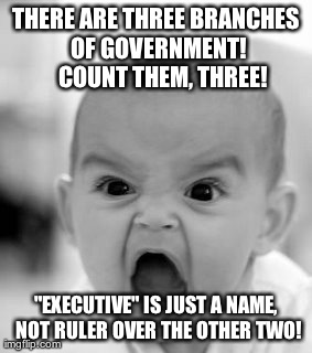 Angry Baby Meme | THERE ARE THREE BRANCHES OF GOVERNMENT!  
COUNT THEM, THREE! "EXECUTIVE" IS JUST A NAME, NOT RULER OVER THE OTHER TWO! | image tagged in memes,angry baby | made w/ Imgflip meme maker