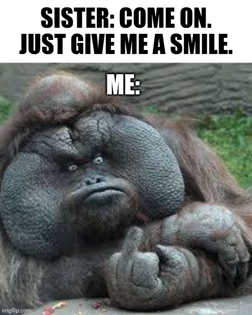 Giving Sister the Bird | Sister: Come on. Just give me a smile. Me: | image tagged in mad monkey,funny memes,siblings,sister,middle finger,finger | made w/ Imgflip meme maker