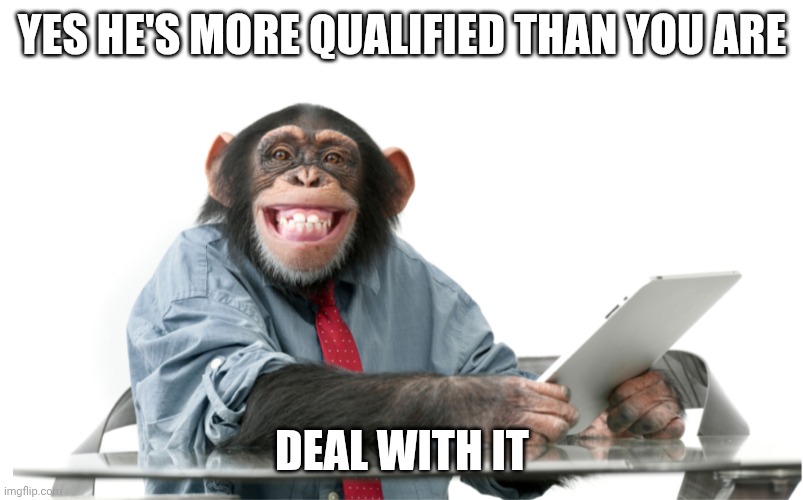 Qualified | Yes he's more qualified than you are; Deal with it | image tagged in monkey business,funny memes,work | made w/ Imgflip meme maker