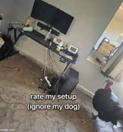 image tagged in rate my setup jpeg | made w/ Imgflip meme maker