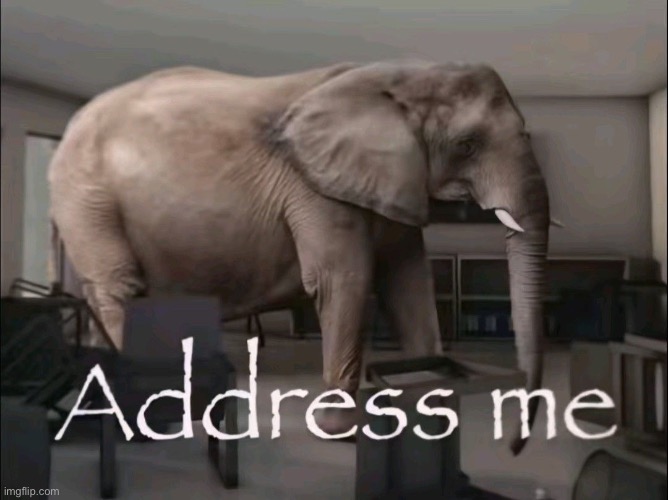 Adress me | image tagged in adress me | made w/ Imgflip meme maker