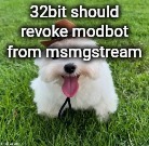 they don't deserve him | 32bit should revoke modbot from msmgstream | image tagged in dog | made w/ Imgflip meme maker