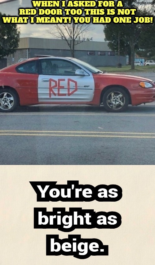 Red on the door | When I asked for a red door too this is not what I meant! You had one job! | image tagged in you had one job,cars,duhhh dumbass,dude you're an idiot,do you are have stupid,human stupidity | made w/ Imgflip meme maker