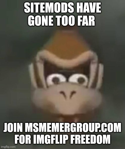 donkey kong shocked | sitemods have gone too far; join msmemergroup.com for imgflip freedom | image tagged in donkey kong shocked | made w/ Imgflip meme maker