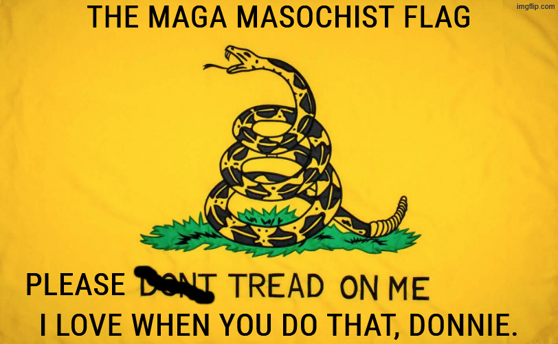 Strange appetite | The MAGA masochist flag; Please; I love when you do that, Donnie. | image tagged in trump,sadism,masochism,maga,hurt,pain | made w/ Imgflip meme maker