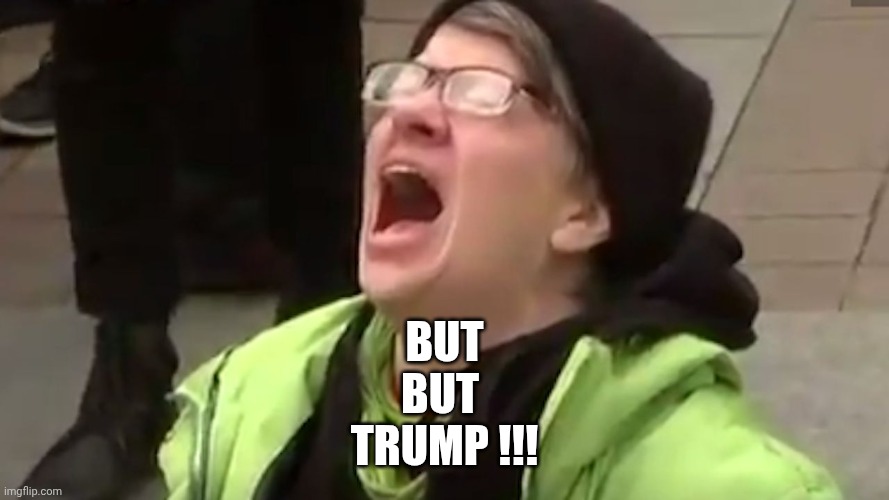 Screaming Liberal  | But
But 
Trump !!! | image tagged in screaming liberal | made w/ Imgflip meme maker