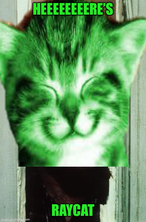 Here's Johnny Meme | Heeeeeeeere’s; Raycat | image tagged in memes,here's johnny | made w/ Imgflip meme maker