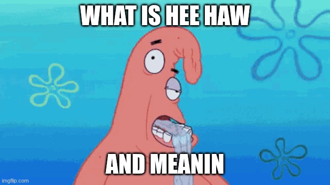 Patrick drooling | what is hee haw and meanin | image tagged in patrick drooling | made w/ Imgflip meme maker