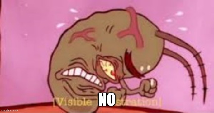 Visible Frustration | no | image tagged in visible frustration | made w/ Imgflip meme maker