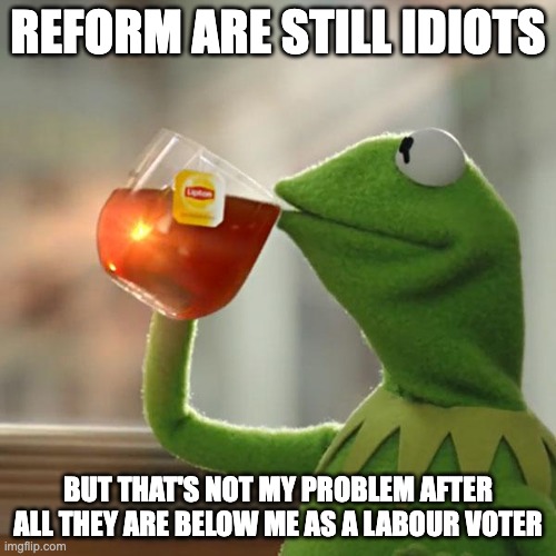 But That's None Of My Business | Reform are still idiots; but that's not my problem after all they are below me as a labour voter | image tagged in memes,but that's none of my business,kermit the frog,votelabour,labour,reformsucks | made w/ Imgflip meme maker
