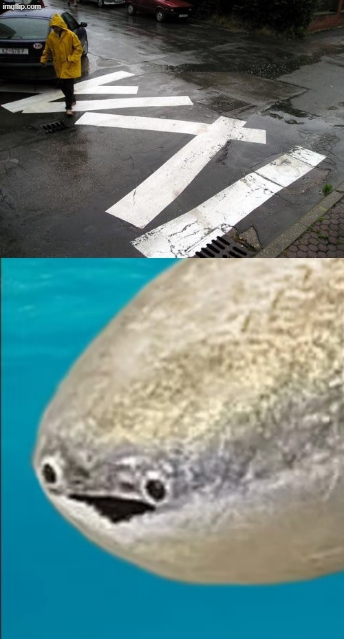 this is painful | image tagged in you had one job | made w/ Imgflip meme maker