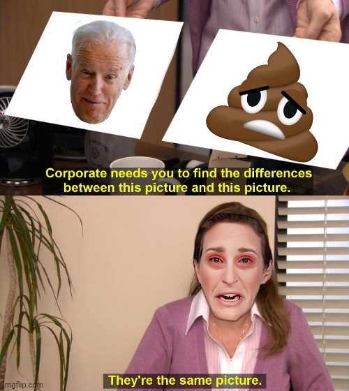 They are the same picture | image tagged in they are the same picture | made w/ Imgflip meme maker