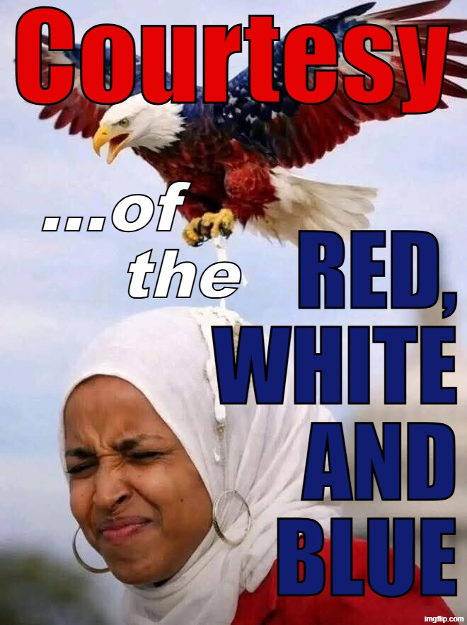POOP on ILHAN | Courtesy; ...of; Red,
White
and
Blue; the | image tagged in poop on ilhan | made w/ Imgflip meme maker