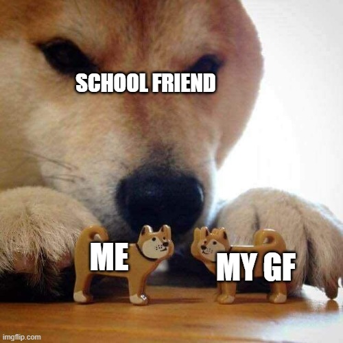 erm | school friend; me; my gf | image tagged in dog now kiss | made w/ Imgflip meme maker
