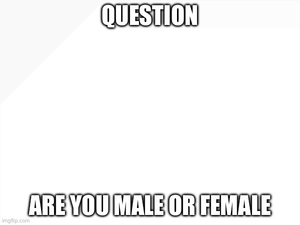 Are there more Boys or Girls on Imgflip | Question; Are you male or female | image tagged in boys vs girls,imgflip,question | made w/ Imgflip meme maker