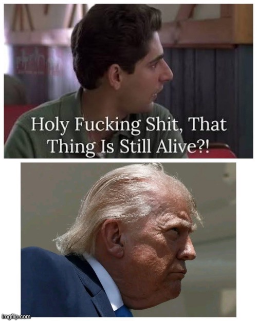 … | made w/ Imgflip meme maker