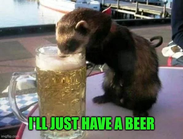 I'll just have a beer | made w/ Imgflip meme maker