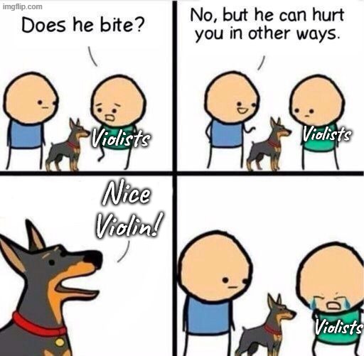 As a Violist this is too relatable | Violists; Violists; Nice Violin! Violists | image tagged in does he bite | made w/ Imgflip meme maker