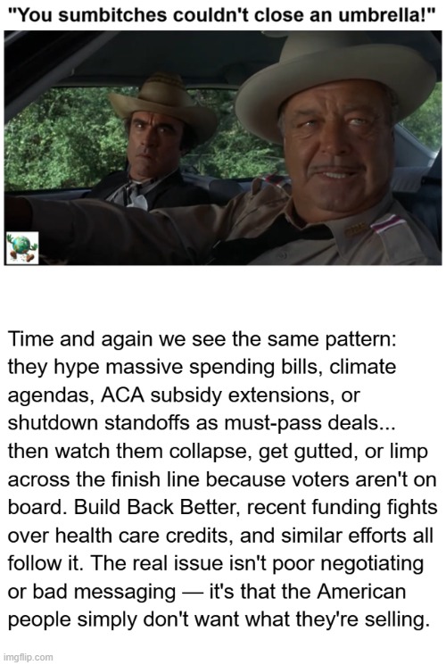 Why do Democrats keep failing to “close the deal" on their major policy priorities, even when they control the levers of power? | image tagged in maga,conservative,democrats | made w/ Imgflip meme maker