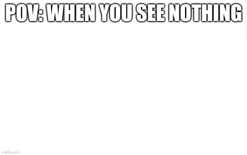Some Blank Meme I Made | POV: When You See Nothing | image tagged in blank meme template | made w/ Imgflip meme maker