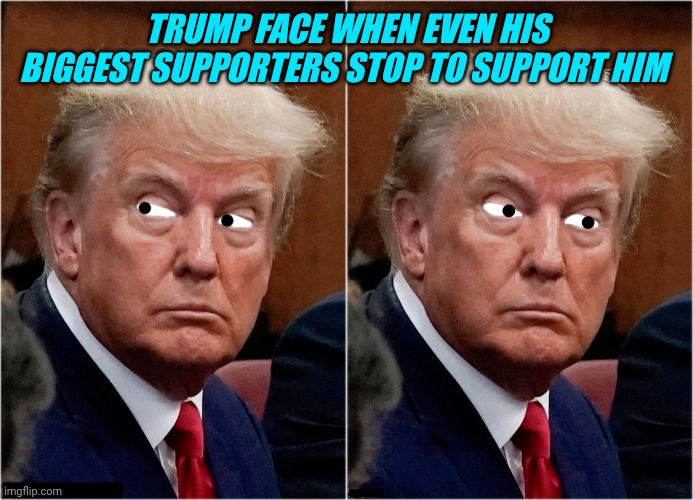 TRUMPY MUPPET [ d-_-b TEMPLATE ] | Trump face when even his biggest supporters stop to support him | image tagged in trumpy muppet d-_-b template | made w/ Imgflip meme maker