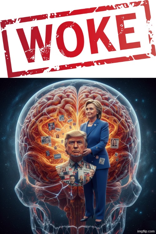 Woke RINO Leftist TDS Logic Republican Freedom | image tagged in leftists,rino,trump bill signing,woke,inception,democrats | made w/ Imgflip meme maker