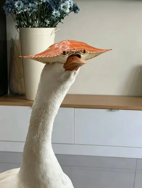 goose crab Blank Meme Template