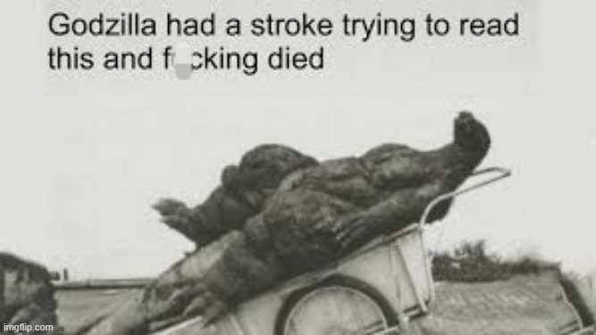 image tagged in godzilla had a stroke trying to read this and f king died | made w/ Imgflip meme maker