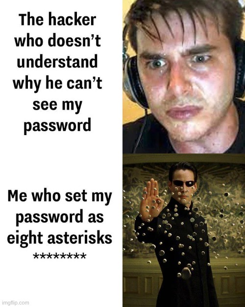 This doesn't work on most platforms because they force you to write a novel as your password | made w/ Imgflip meme maker
