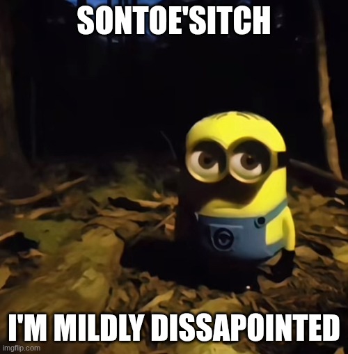 Minion in dark forest | Sontoe'sitch; I'm mildly dissapointed | image tagged in minion in dark forest,mitosis,my toes itch,son | made w/ Imgflip meme maker