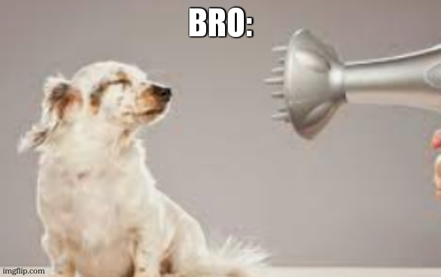 grooming | bro: | image tagged in grooming | made w/ Imgflip meme maker