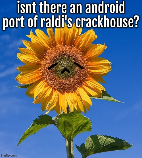 isnt there an android port of raldi's crackhouse? | made w/ Imgflip meme maker