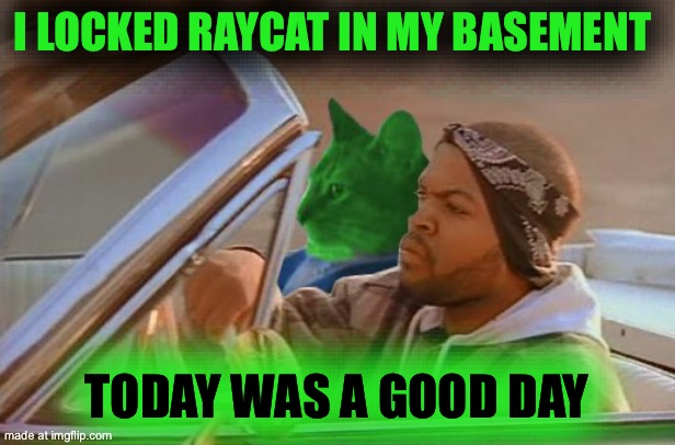 Driving RayCat | I locked raycat in my basement; Today was a good day | image tagged in driving raycat | made w/ Imgflip meme maker
