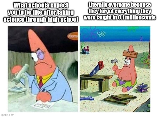 could never be me | Literally everyone because they forgot everything they were taught in 0.1 milliseconds; What schools expect you to be like after taking science through high school | image tagged in patrick scientist vs nail,scientist,science,funny,school,oh wow are you actually reading these tags | made w/ Imgflip meme maker