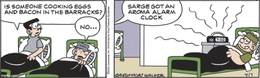 Beetle Bailey | image tagged in comics | made w/ Imgflip meme maker