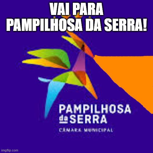 Pampilhosa da Serra 2 | Vai para Pampilhosa da Serra! | image tagged in pampilhosa da serra 2 jfif | made w/ Imgflip meme maker