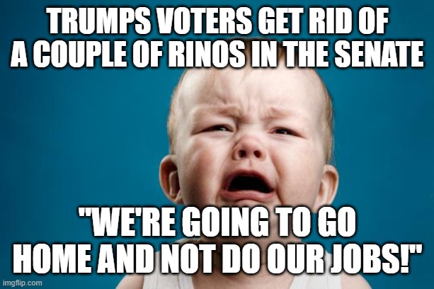 Looking at you, John Thune | trumps voters get rid of a couple of rinos in the senate; "we're going to go home and not do our jobs!" | image tagged in baby crying | made w/ Imgflip meme maker
