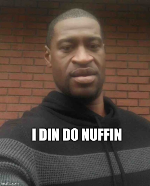 george floyd | I din do nuffin | image tagged in george floyd | made w/ Imgflip meme maker