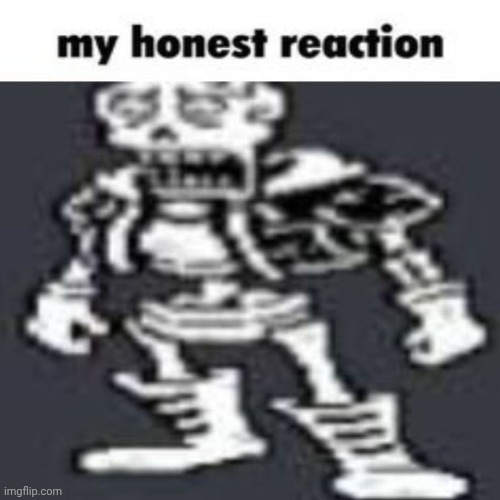 image tagged in papyrus my honest reaction | made w/ Imgflip meme maker