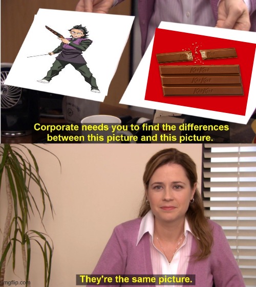 They're The Same Picture Meme | image tagged in memes,they're the same picture | made w/ Imgflip meme maker