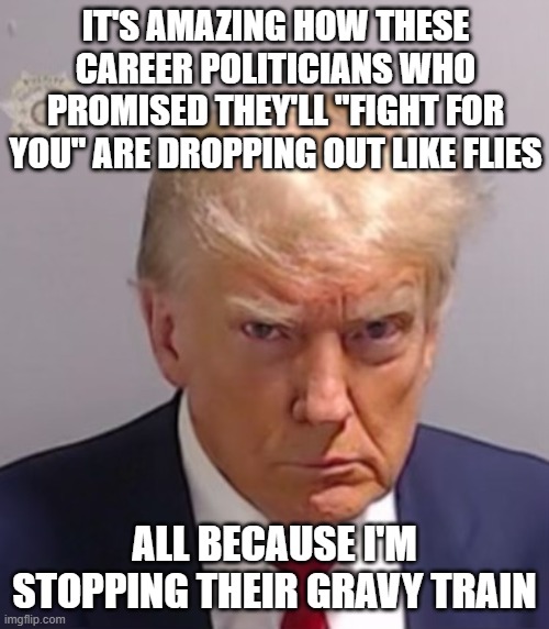 Donald Trump Mugshot | it's amazing how these career politicians who promised they'll "fight for you" are dropping out like flies; all because I'm stopping their gravy train | image tagged in donald trump mugshot | made w/ Imgflip meme maker