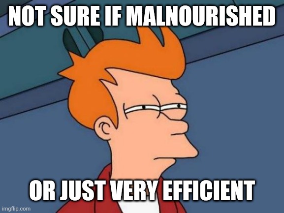 I'm just really skinny guys | Not sure if malnourished; Or just very efficient | image tagged in memes,futurama fry | made w/ Imgflip meme maker