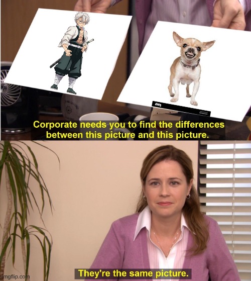 every kny fan knows what  I am talking about | image tagged in memes,they're the same picture,demon slayer | made w/ Imgflip meme maker