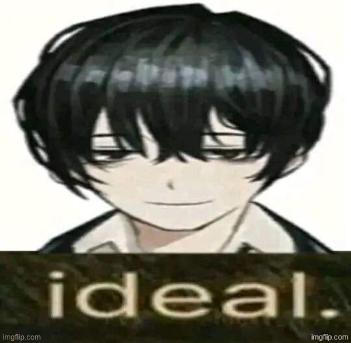 ideal | image tagged in ideal | made w/ Imgflip meme maker