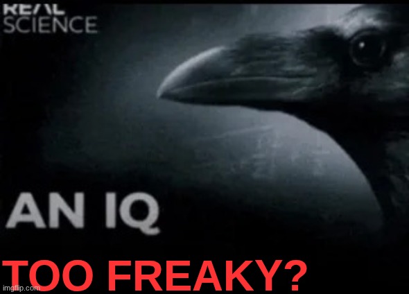 idk anymore vro | Too fReaky? | image tagged in an iq | made w/ Imgflip meme maker