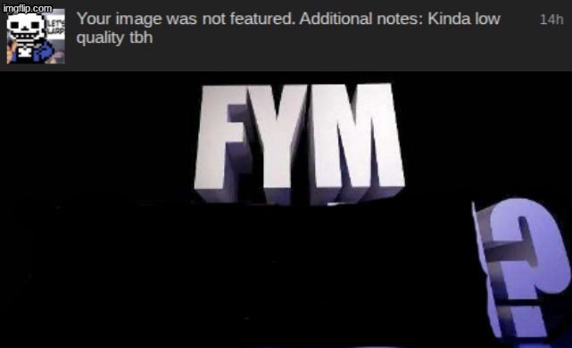 bro you can't just not feature my img because the quality is kinda low, and dude it's Undertale related too | image tagged in fym______ | made w/ Imgflip meme maker