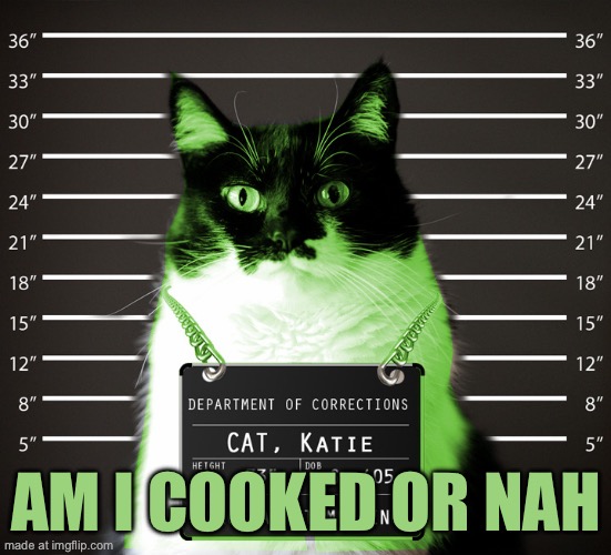 RayCat Incarcerated | Am I cooked or nah | image tagged in raycat incarcerated | made w/ Imgflip meme maker